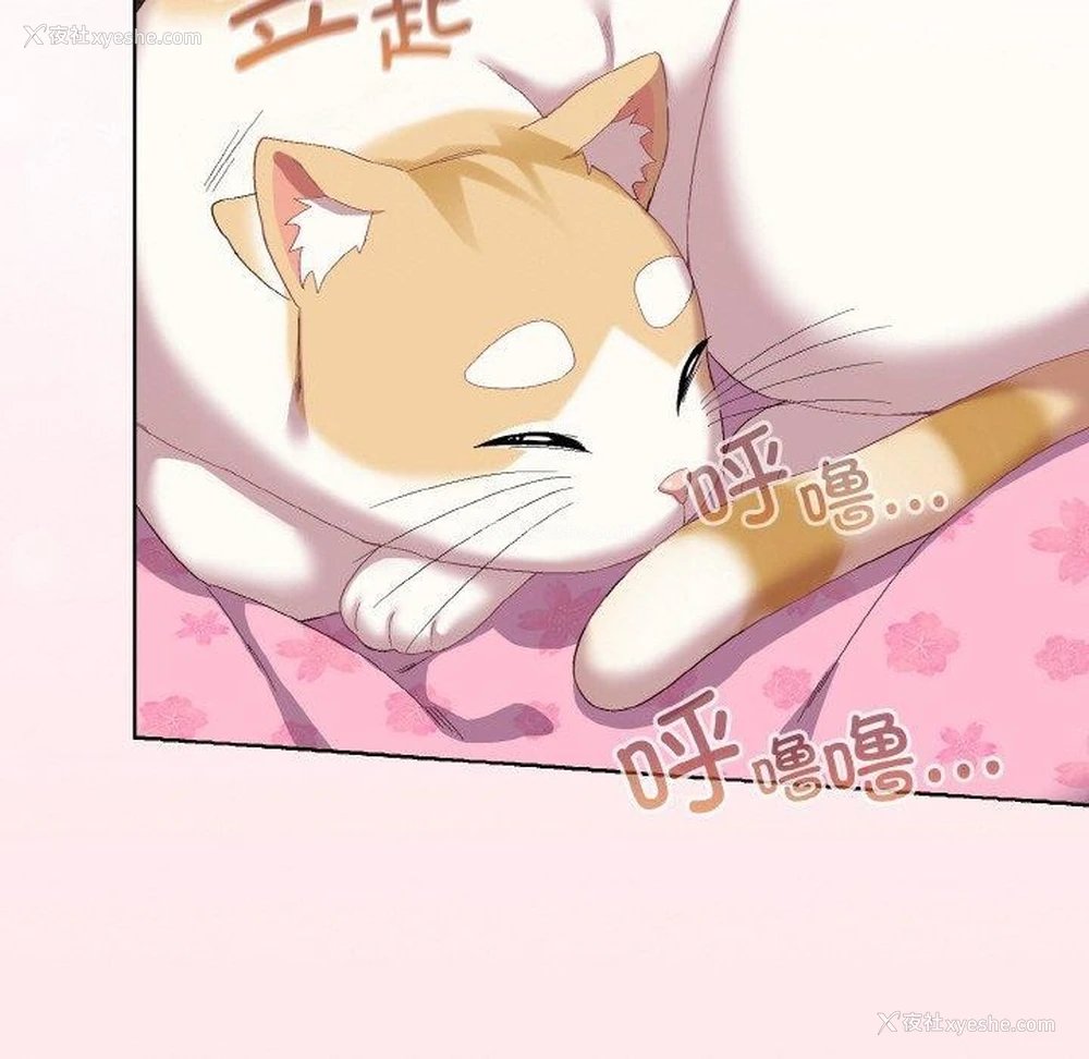 186P - 喵来的恋爱