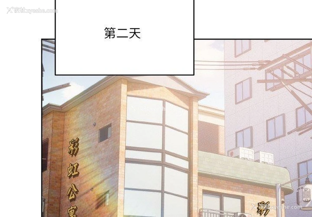 2P - 喵来的恋爱