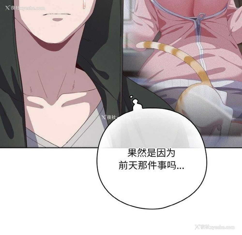 51P - 喵来的恋爱