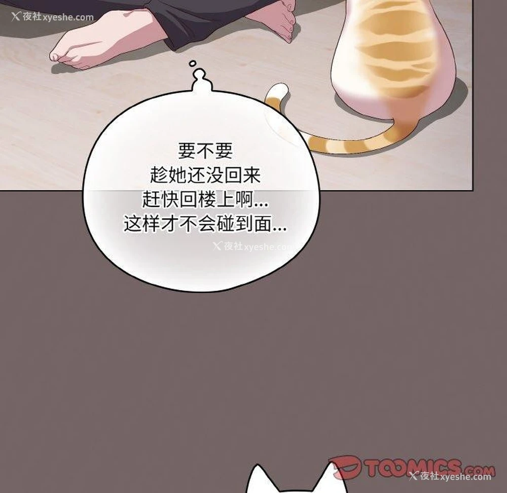 172P - 喵来的恋爱