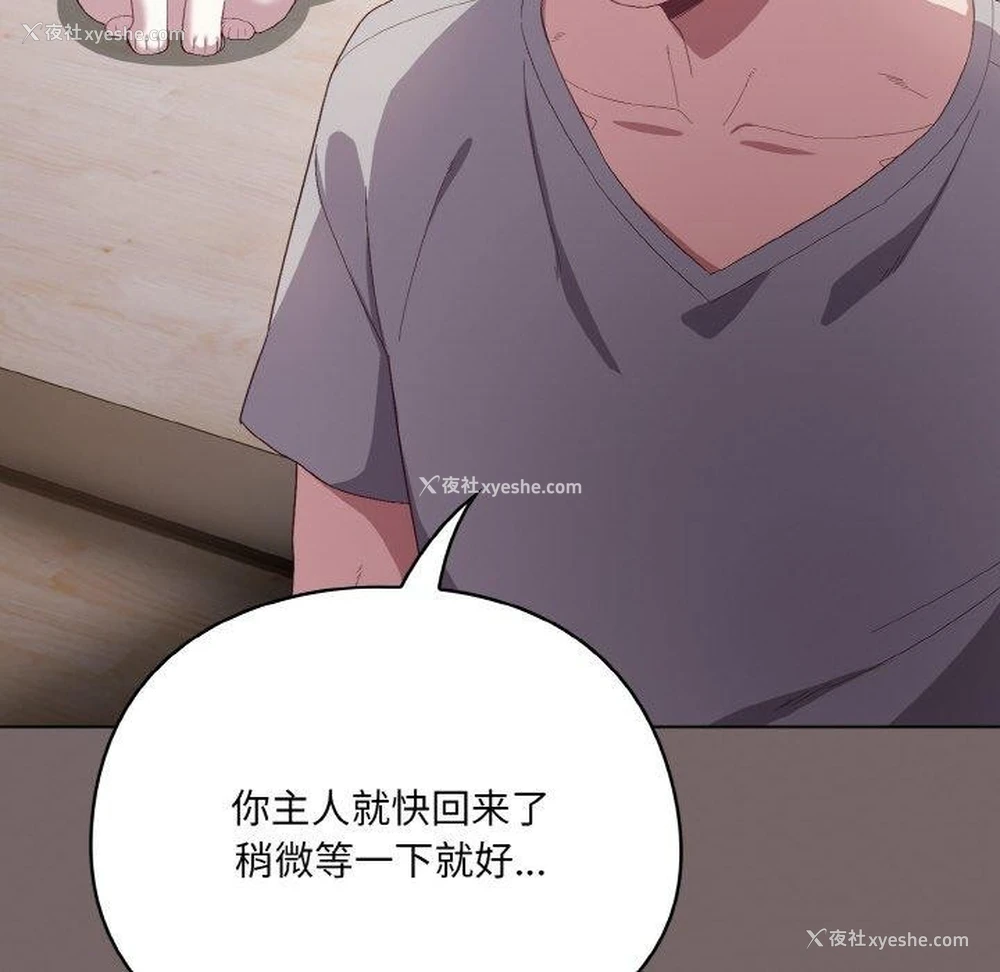 176P - 喵来的恋爱