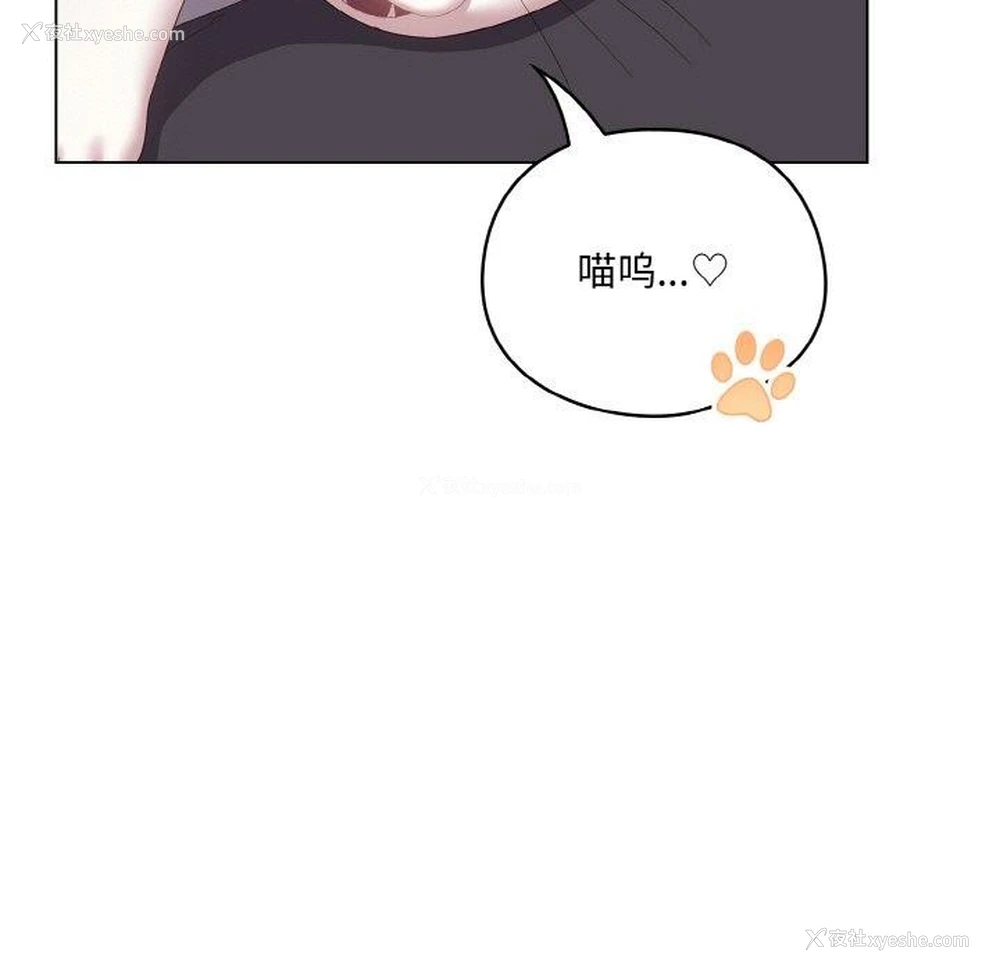 49P - 喵来的恋爱