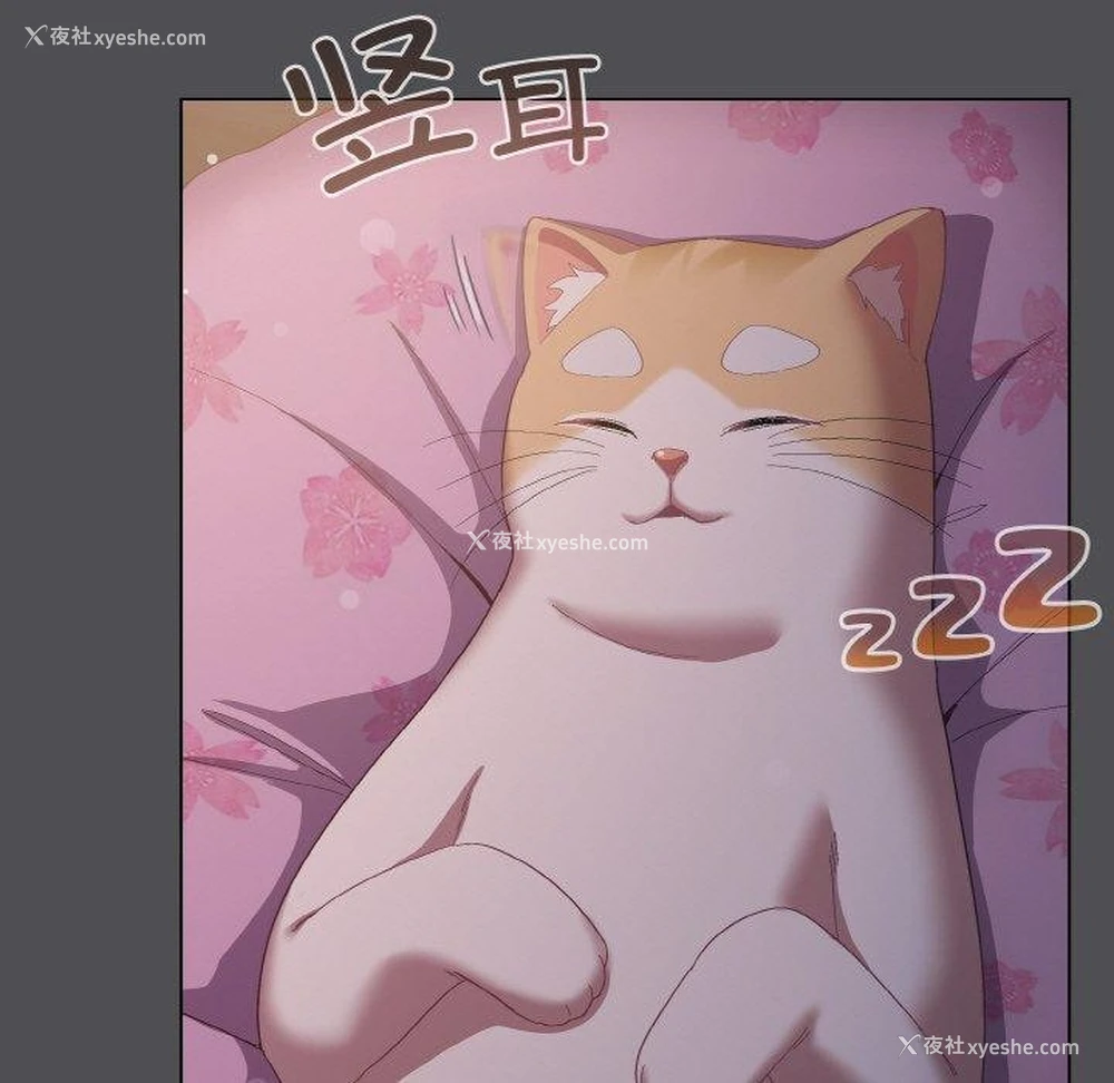 173P - 喵来的恋爱