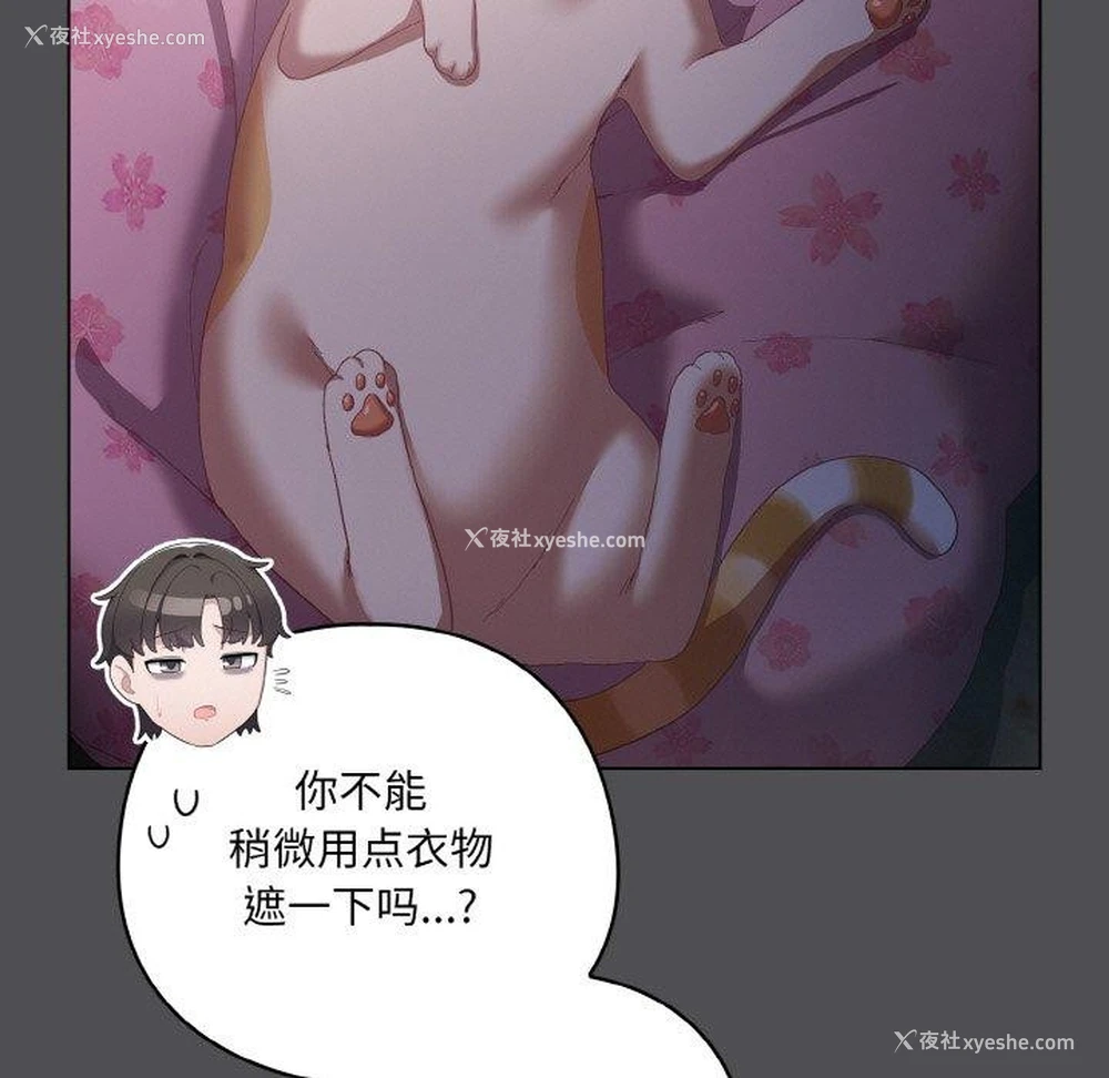 65P - 喵来的恋爱