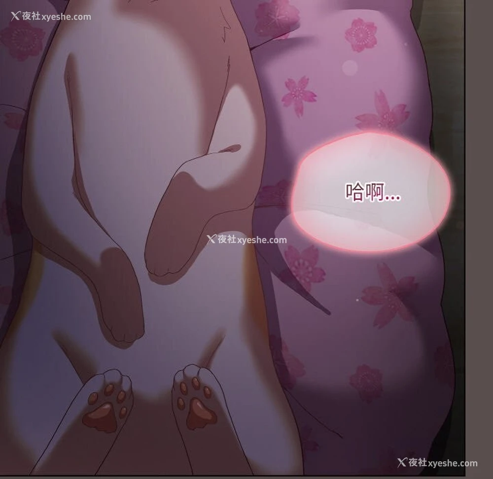151P - 喵来的恋爱