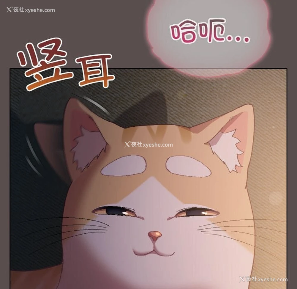 10P - 喵来的恋爱