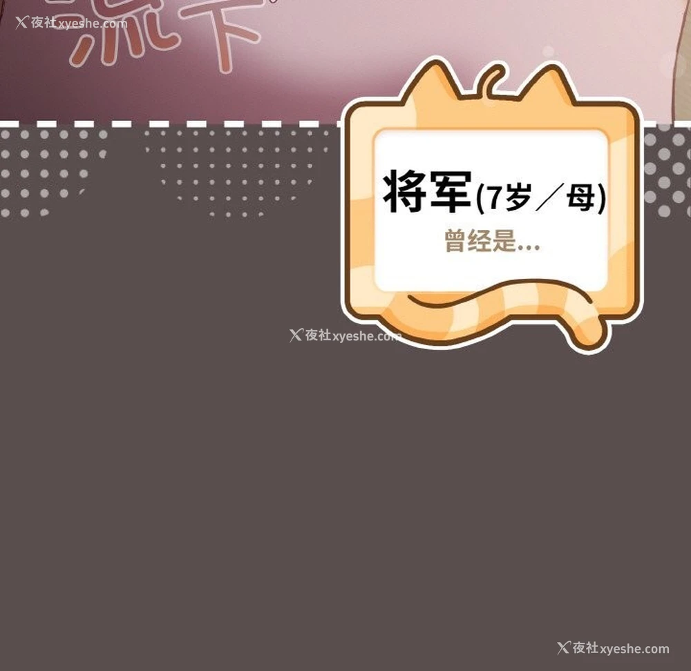 17P - 喵来的恋爱
