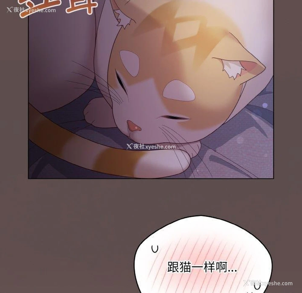 127P - 喵来的恋爱
