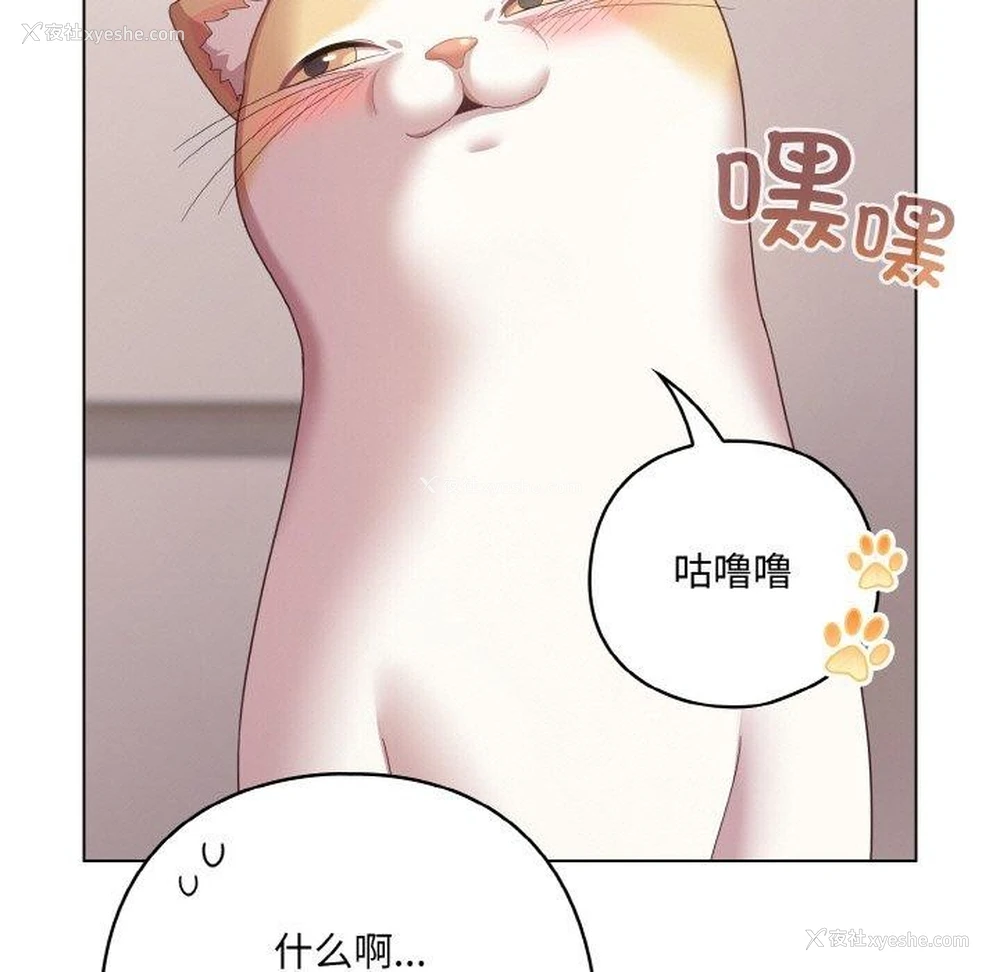 155P - 喵来的恋爱