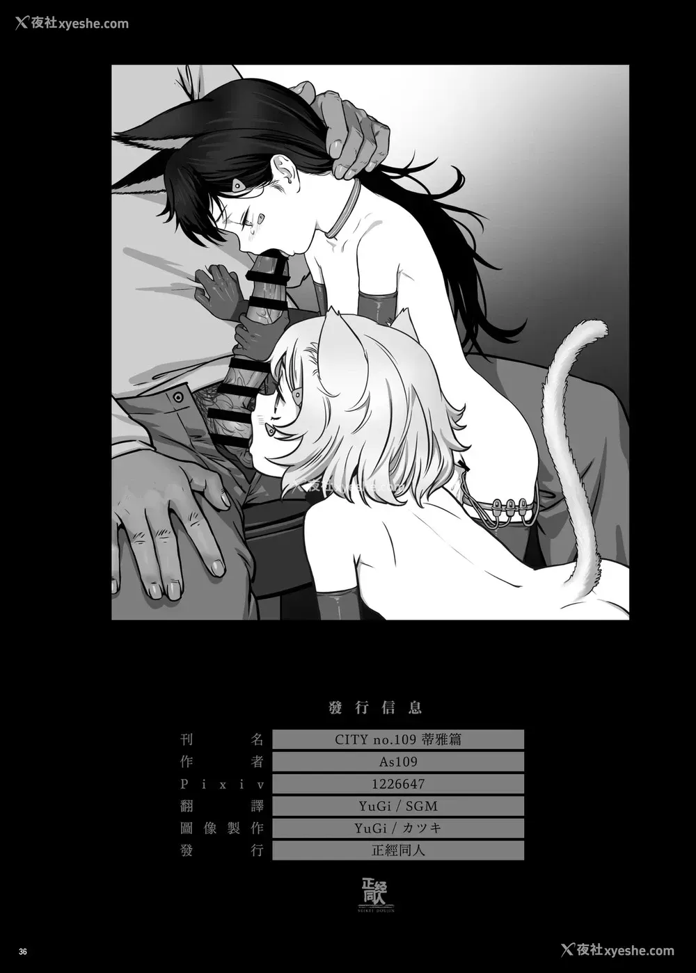 37P - [正経同人 (As109)] CITY no.109 ティア编