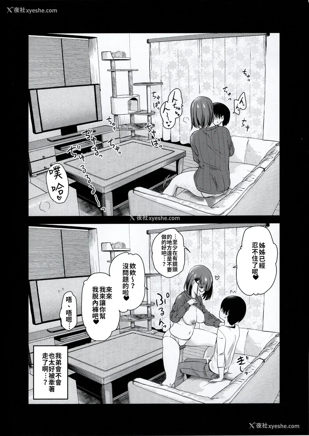 18P - (コミティア131) [真・圣堂☆本舗 (圣☆司)] ペット见守りカメラに姉と弟のセックスが映ってた。[中国翻訳]