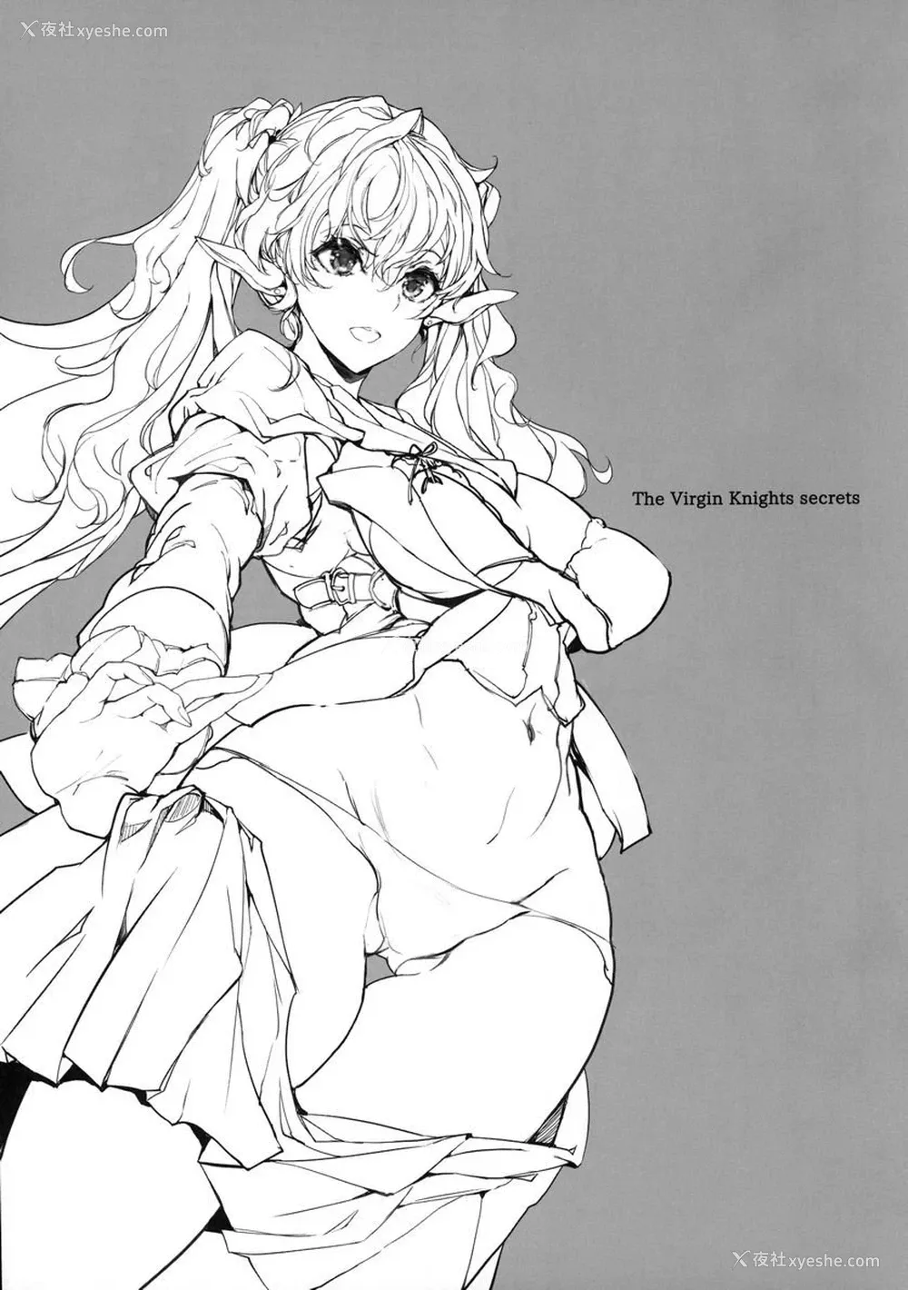 2P - 少女骑士之秘密