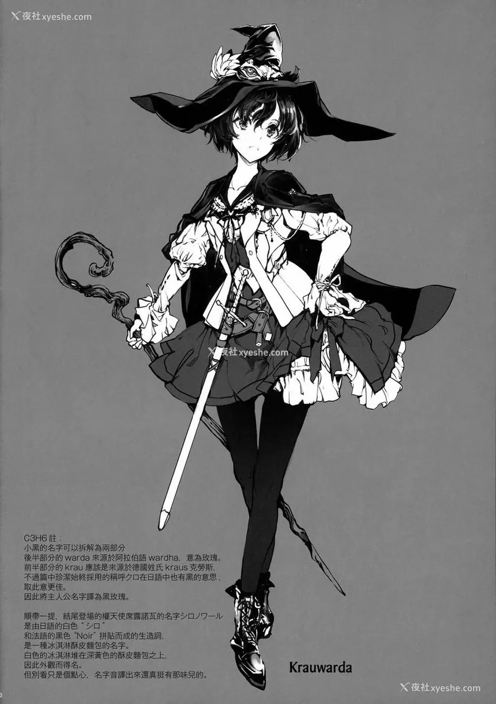 37P - 少女骑士之秘密