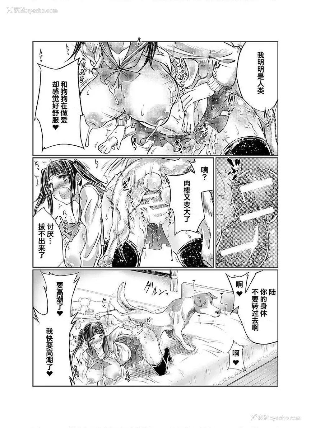 9P - Love Love 兽奸Girls