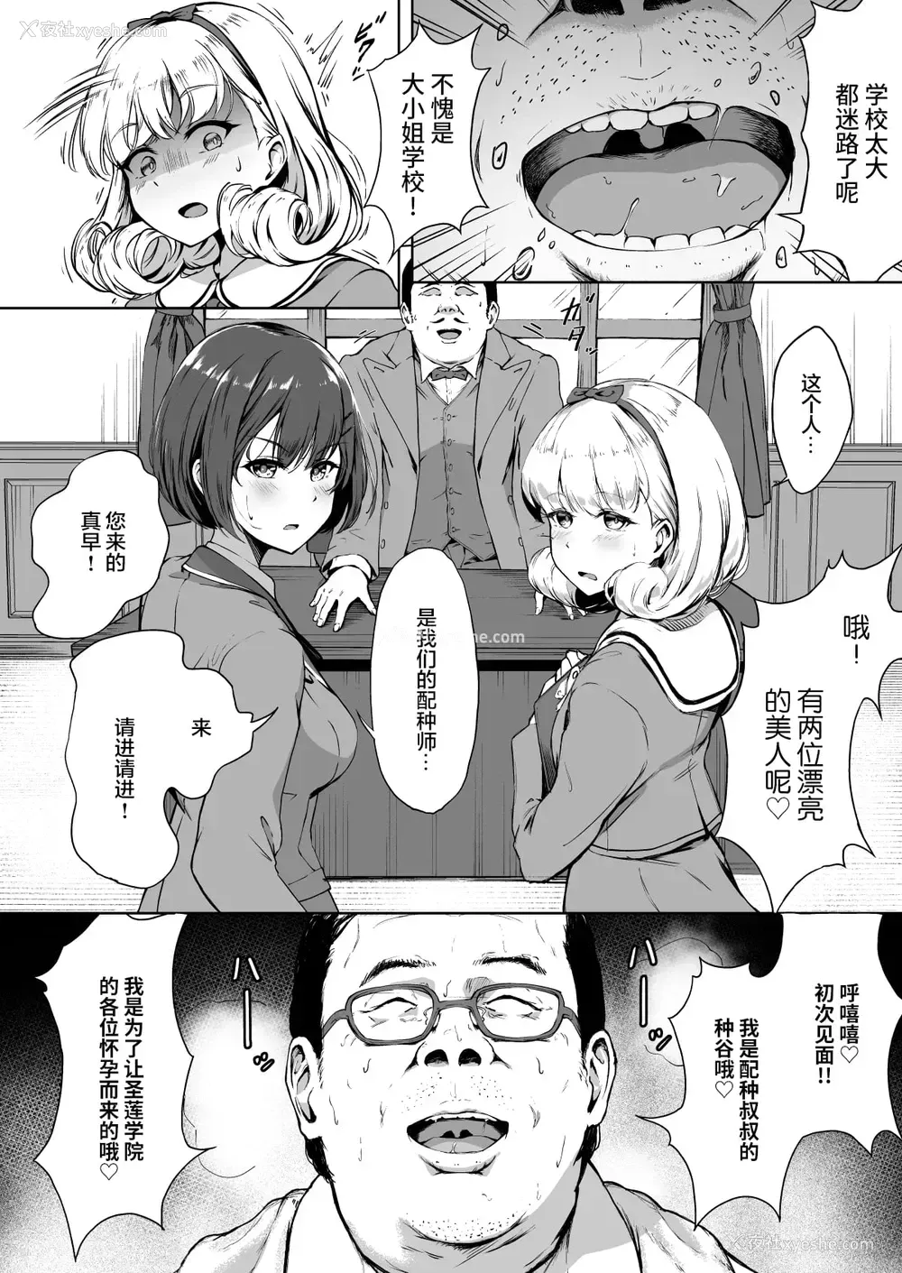 8P - 配种自由学园