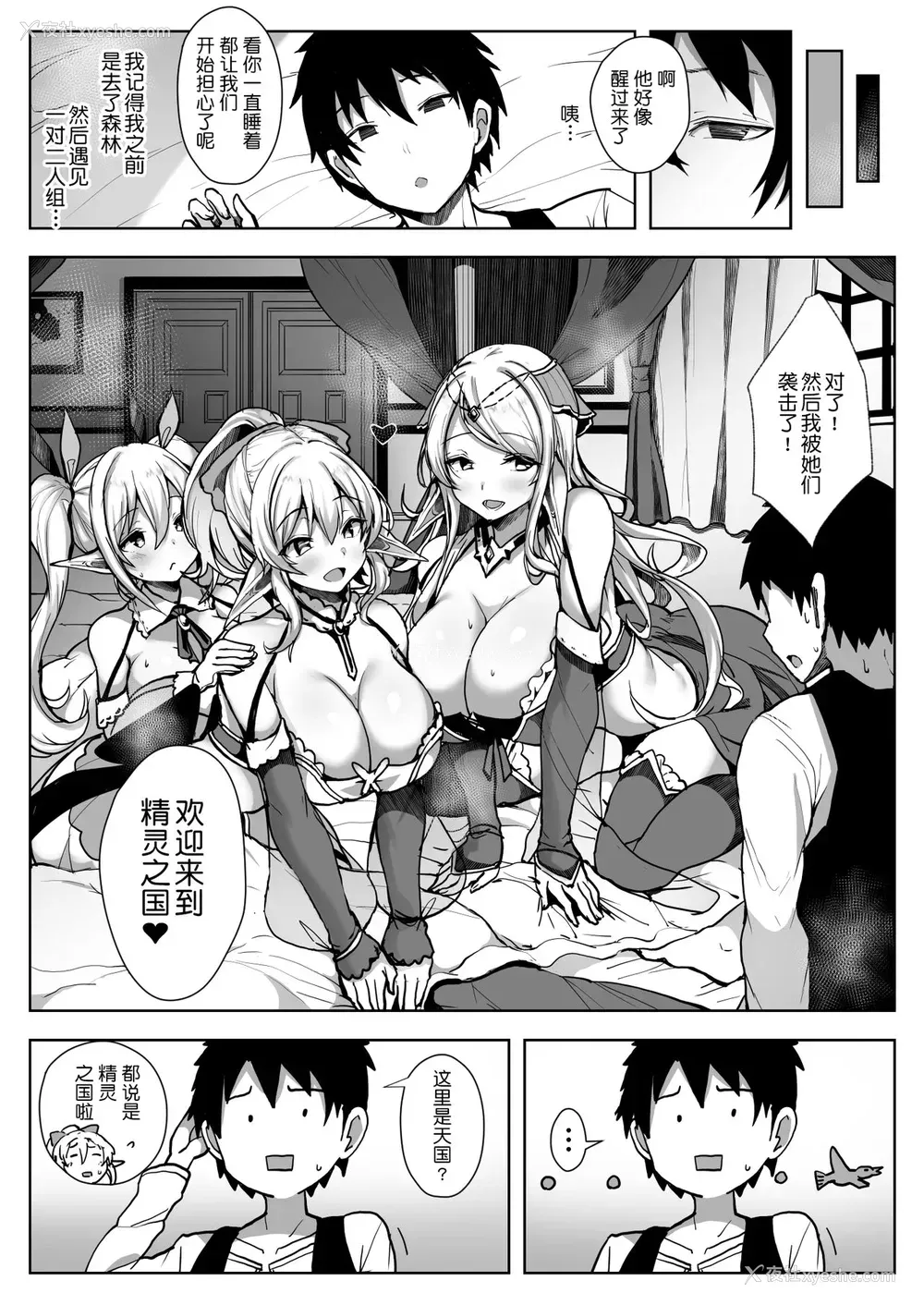8P - [diletta (おぱんちゅ)] エルフハーレム [中国翻訳]