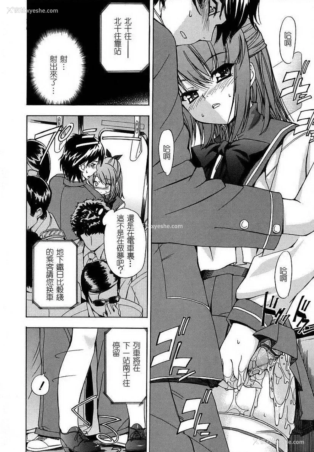 10P - 初犬
