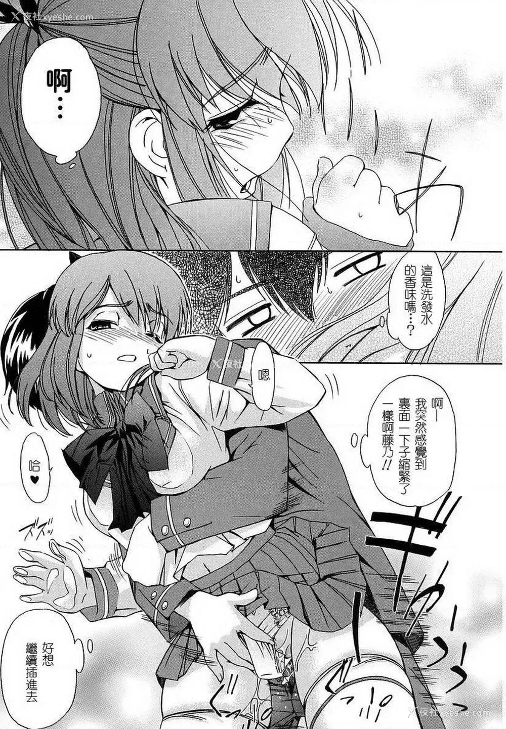 13P - 初犬