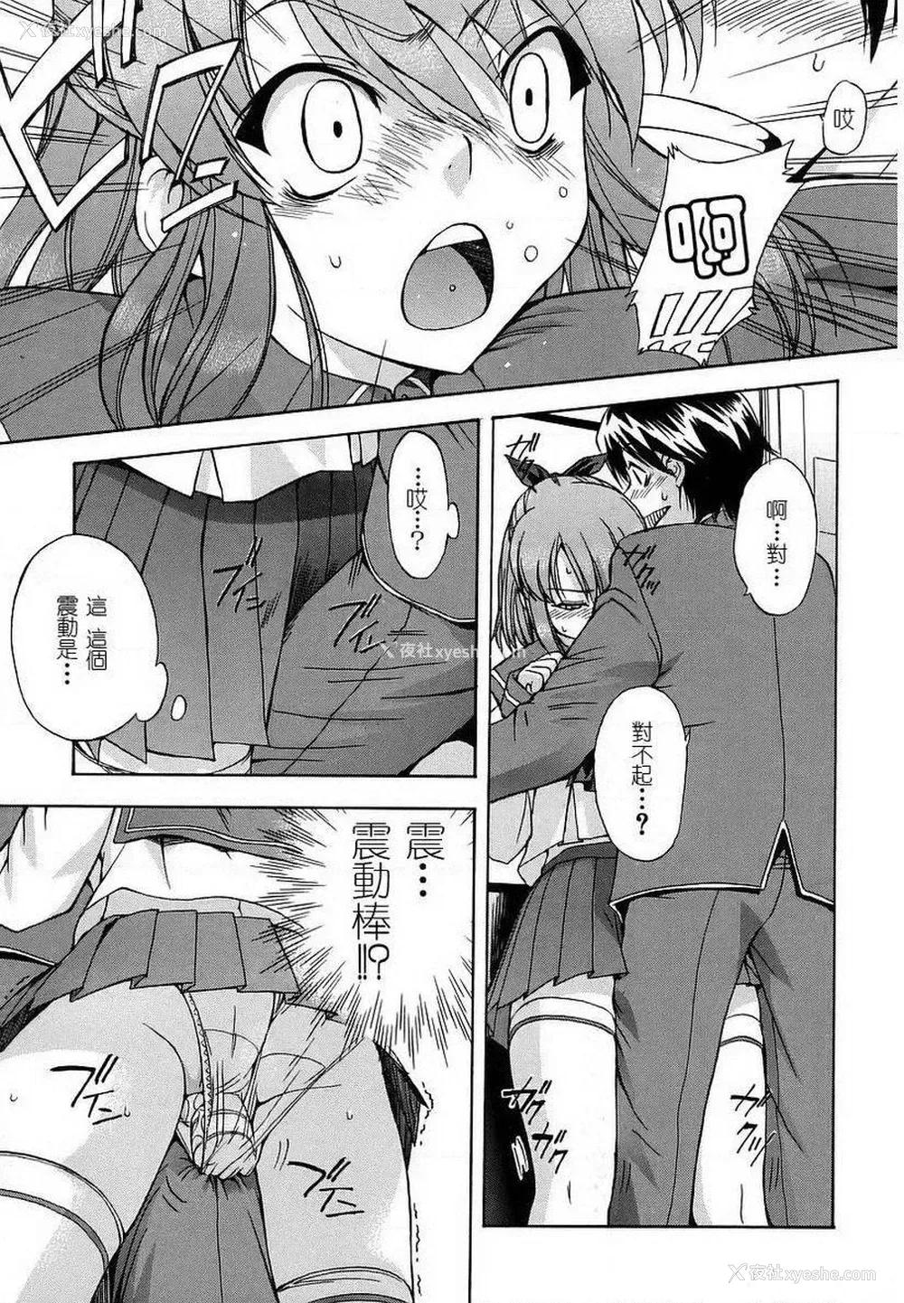 5P - 初犬