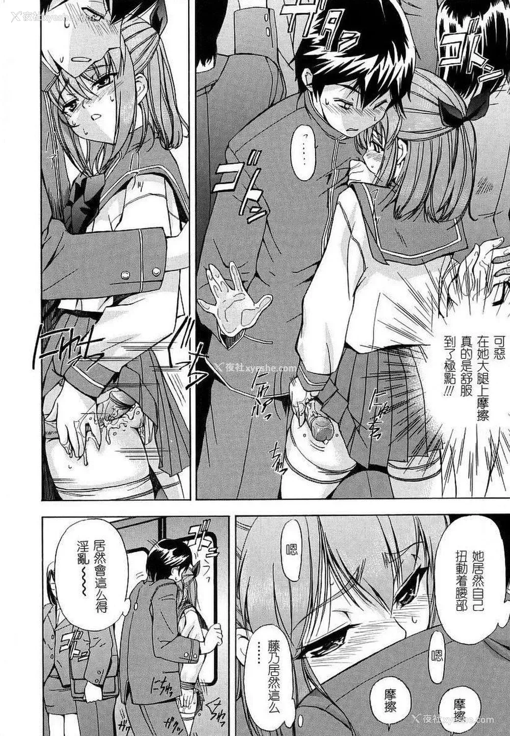 8P - 初犬