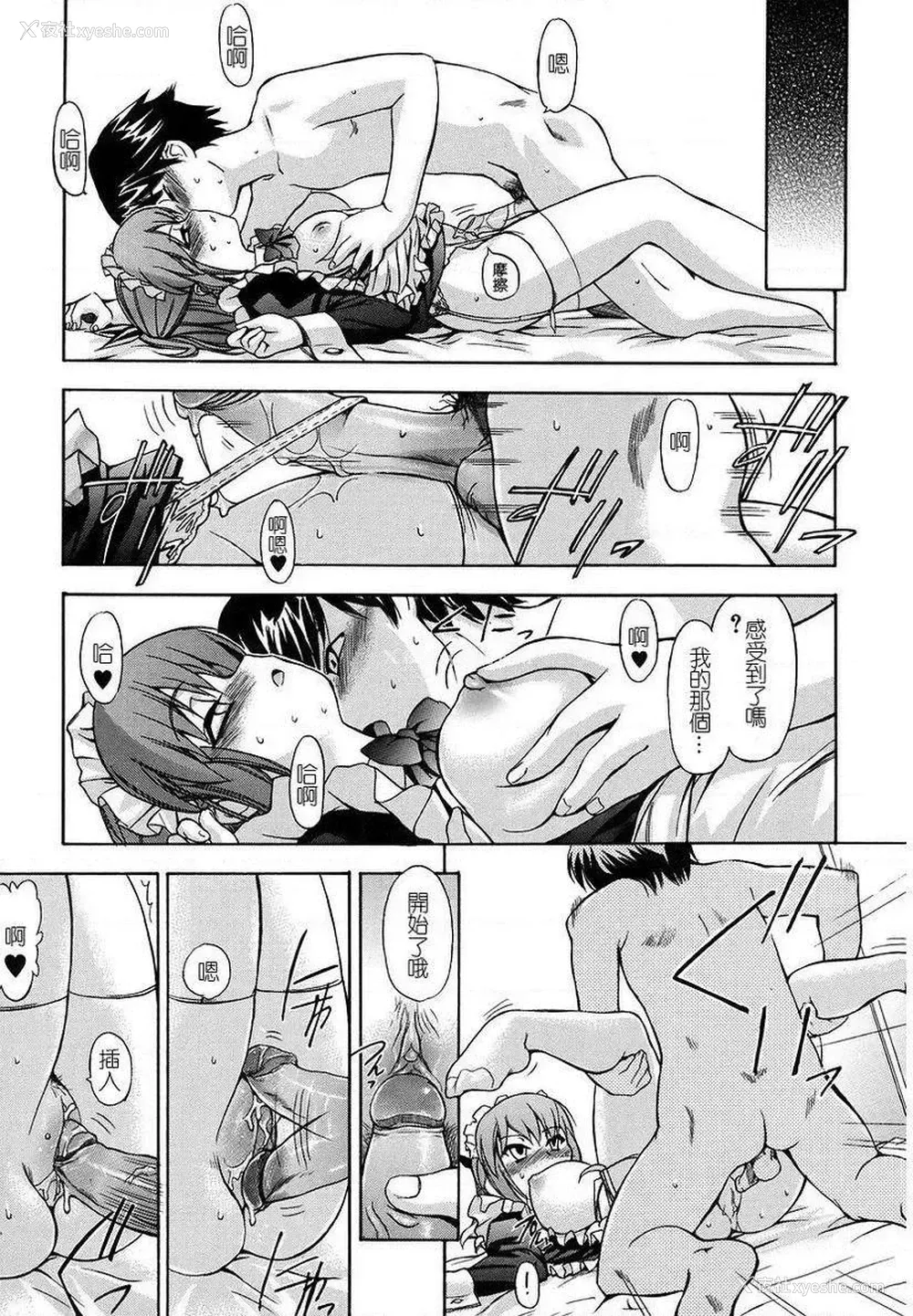 11P - 初犬