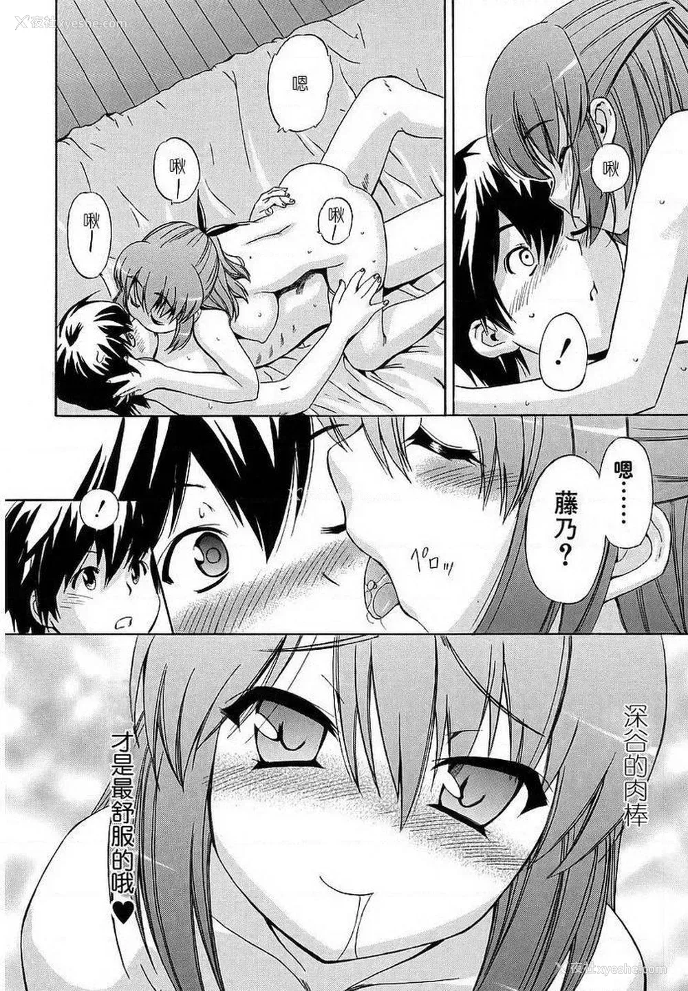 14P - 初犬