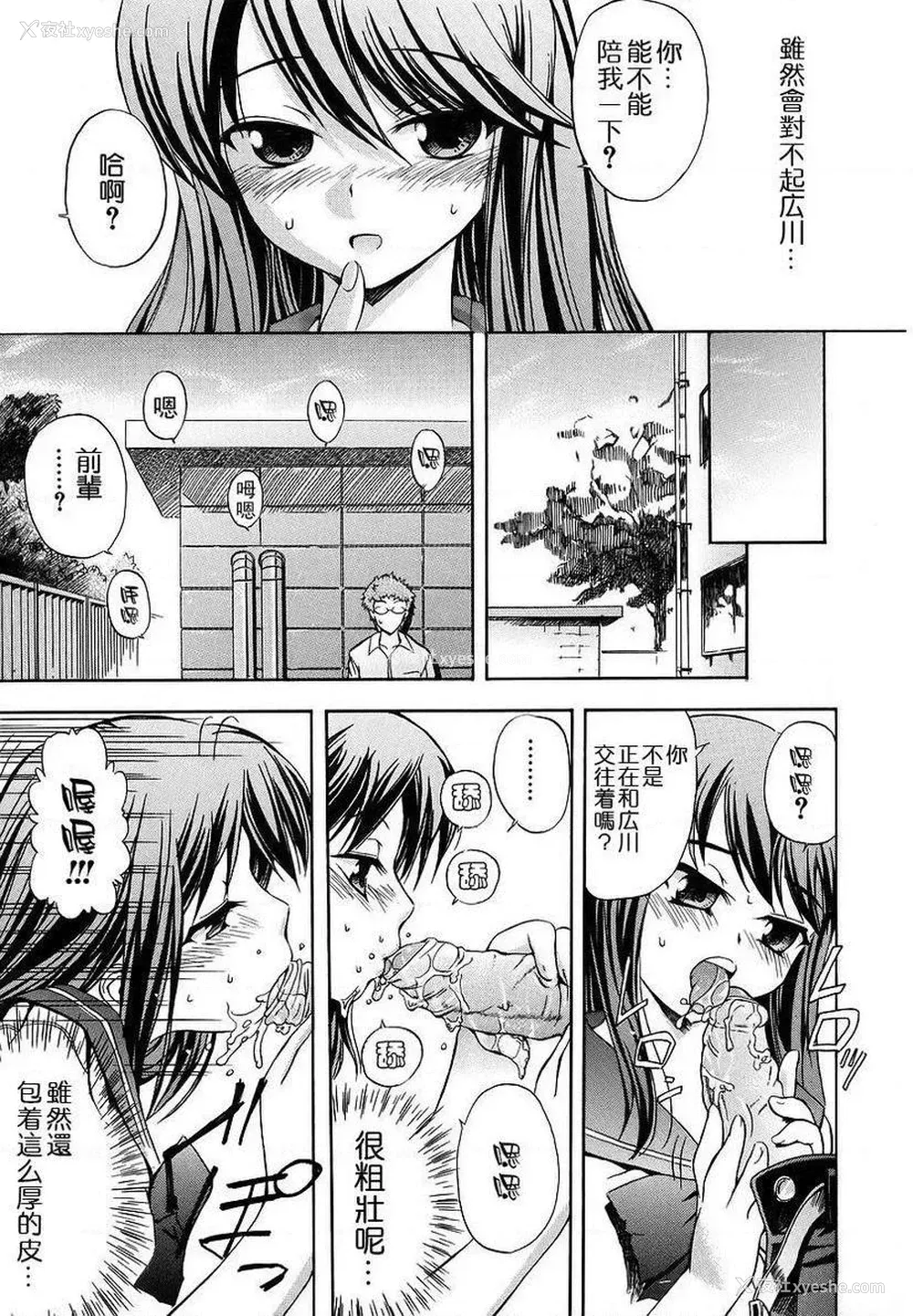7P - 初犬