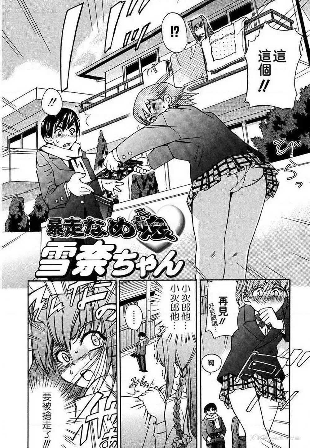 2P - 初犬