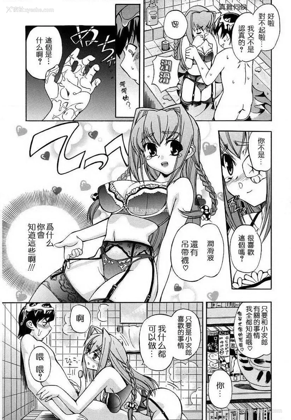 6P - 初犬