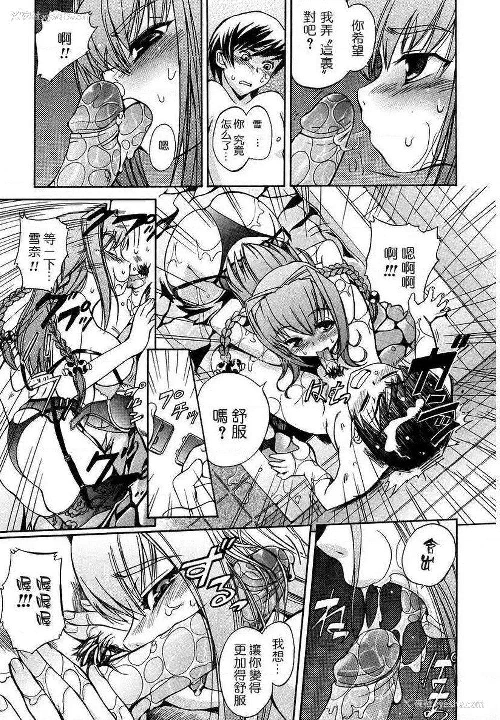 7P - 初犬