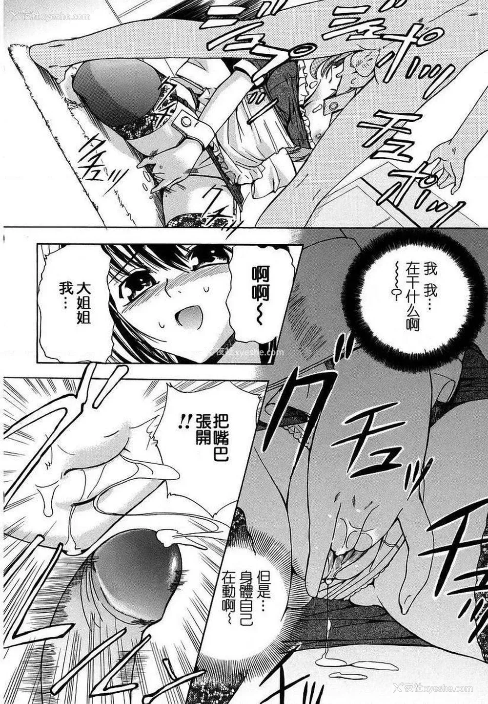 10P - 初犬