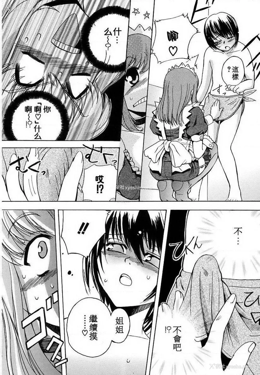 6P - 初犬