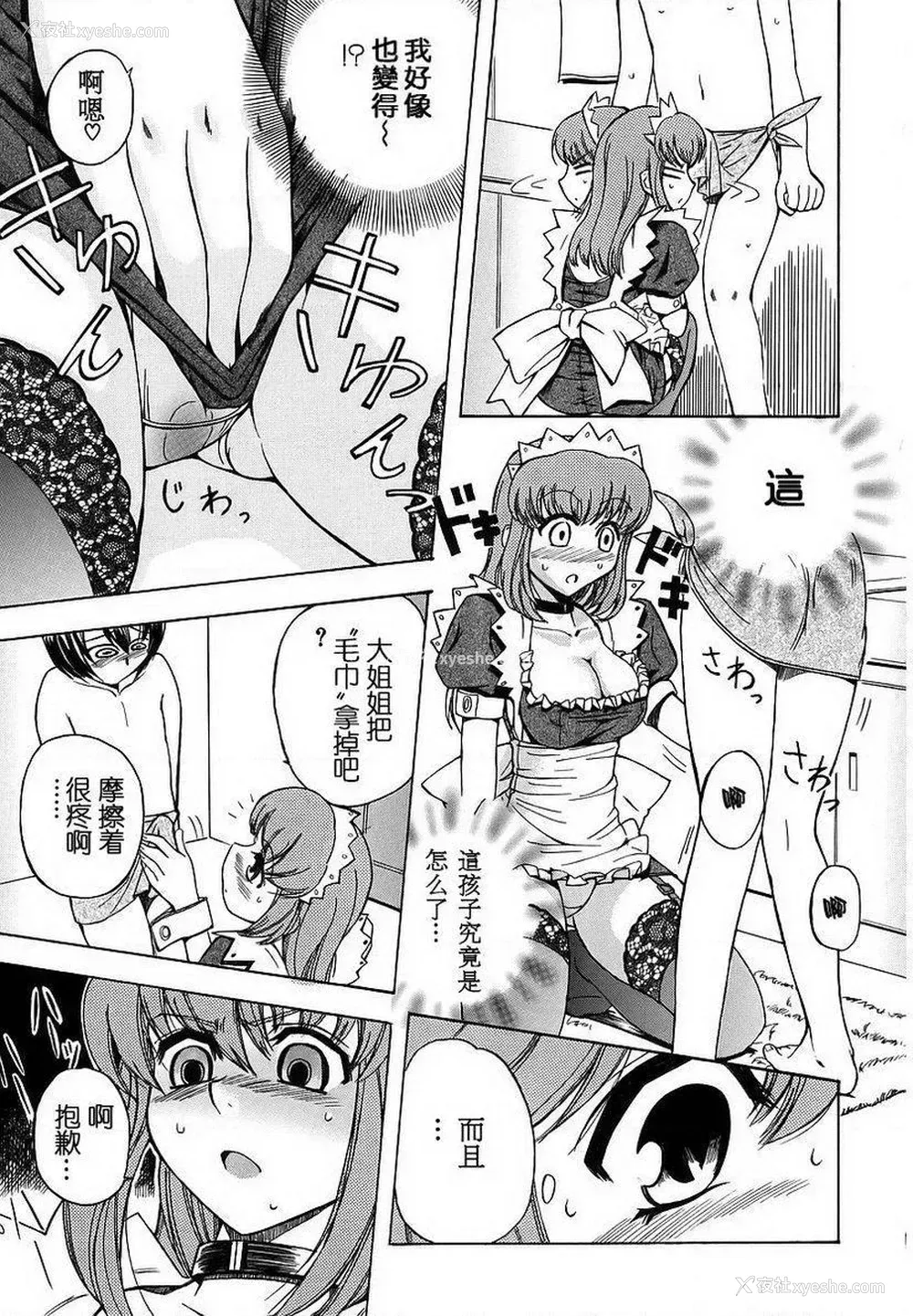 7P - 初犬