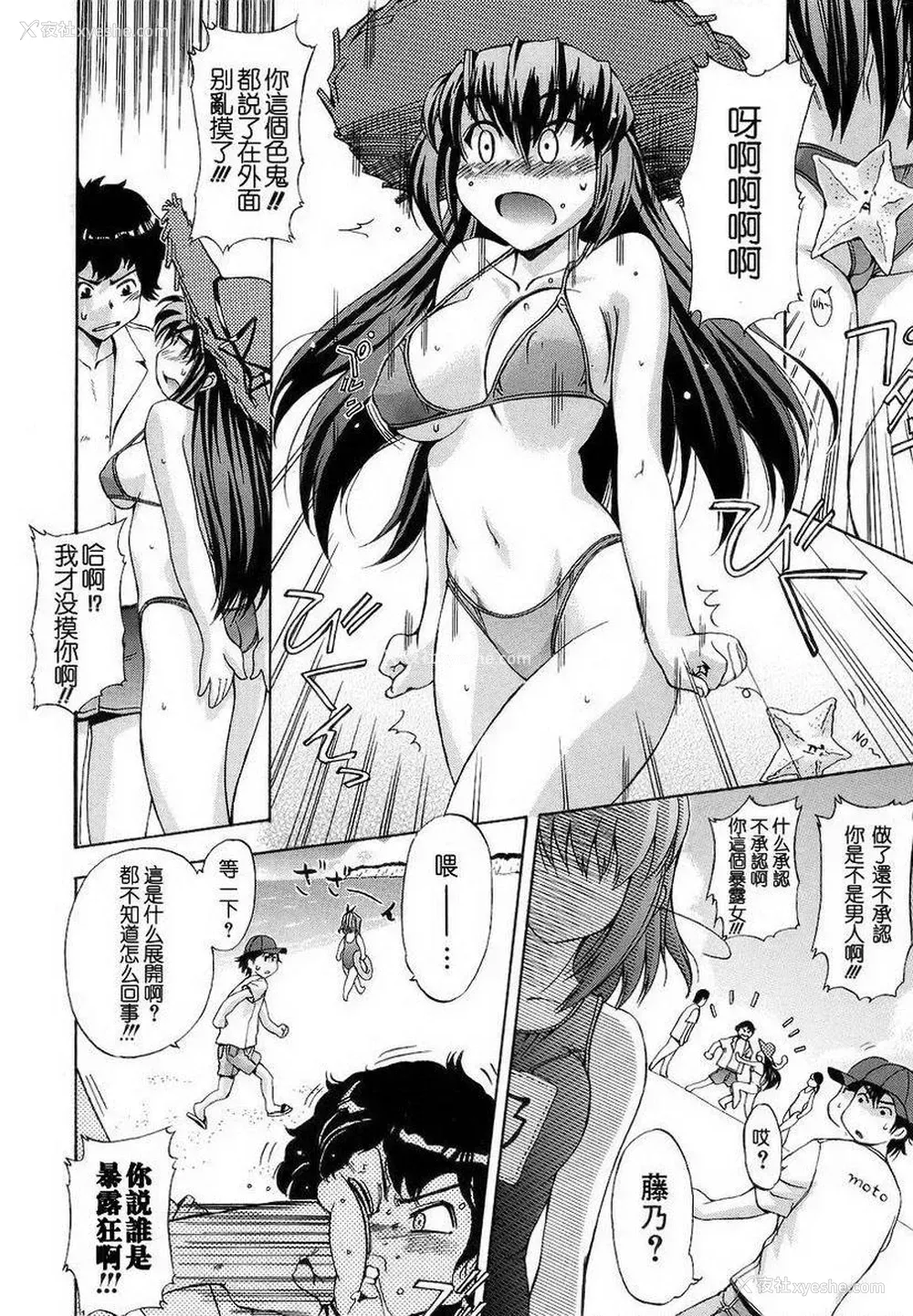 8P - 初犬
