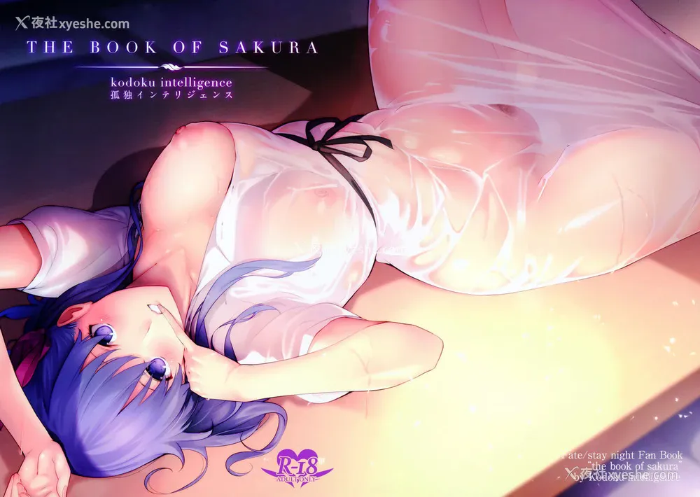 19P - (C93) [孤独intelligence (ななお)] THE BOOK OF SAKURA (Fate/stay night)