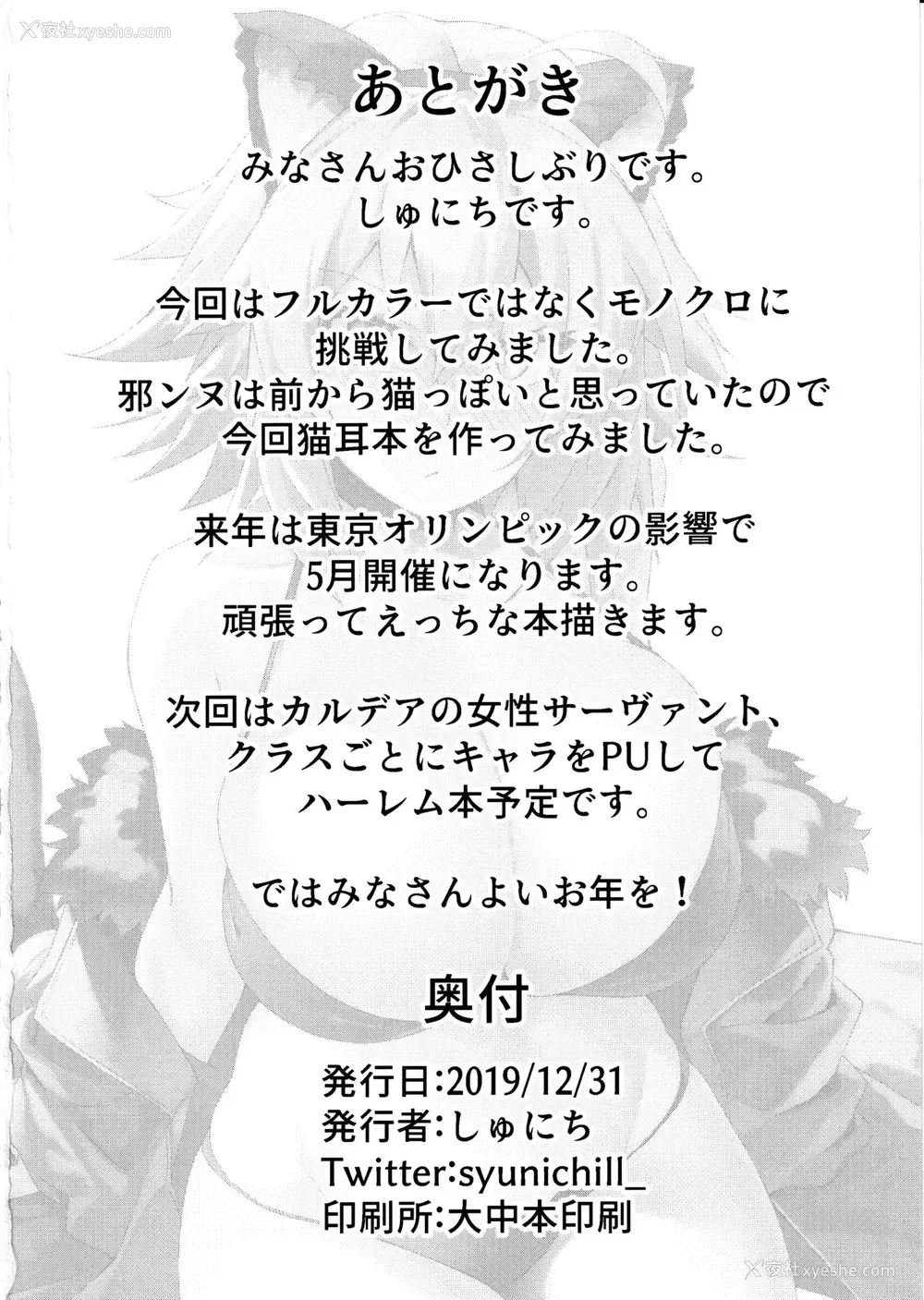 25P - (C97) [しゅにち関数 (しゅにち)] 猫耳邪ンヌとひたすら交尾する本 (Fate/Grand Order)