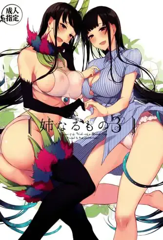 (C90) [ぽち小屋。 (ぽち。)] [Pochi-Goya. (Pochi.)] 姉なるもの 3 [没有性欲是一个姐姐解决不了的，如果有，那就两个汉化组]