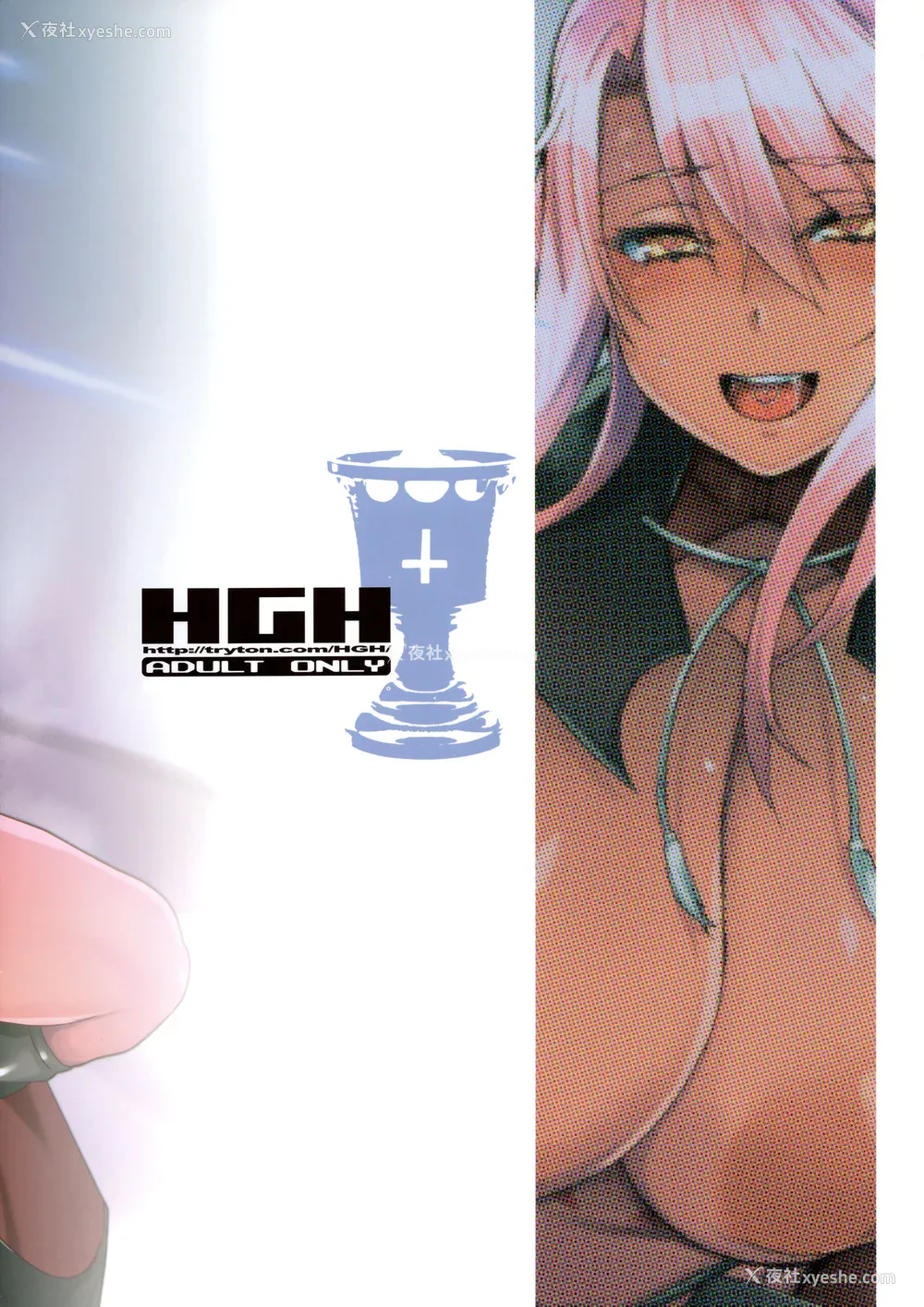21P - (COMIC1☆16) [HGH (HG茶川)] HGUC#18 OTONA CHLOE (Fate/Grand Order) [中国翻訳]