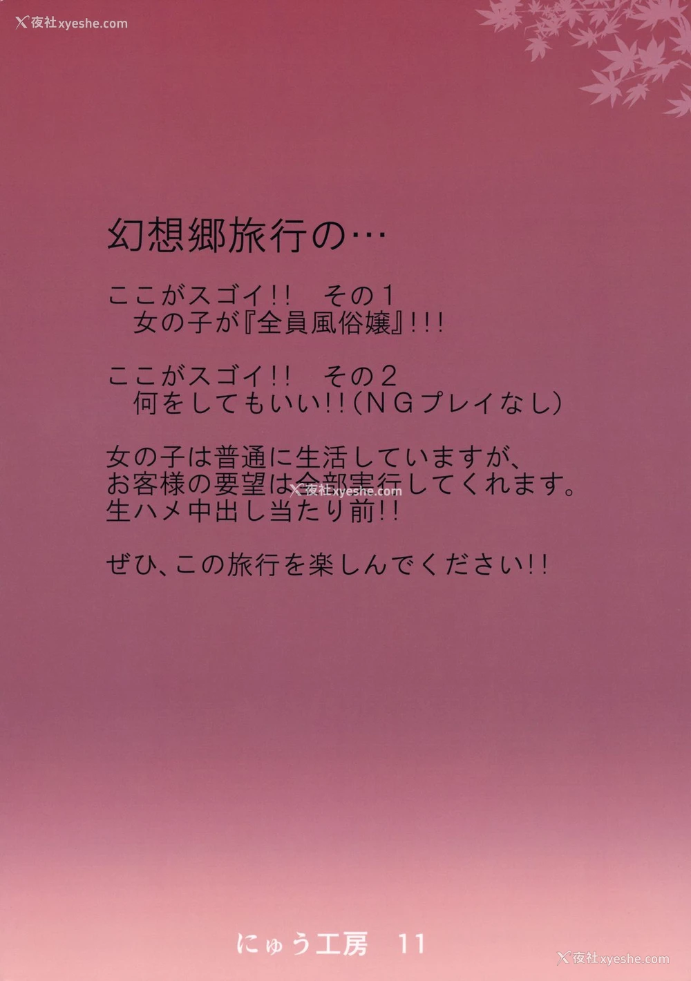 31P - (红楼梦10) [にゅう工房 (にゅう)] おいでませ!!自由风俗幻想郷2泊3日の旅 红 (东方Project) [中国翻訳]