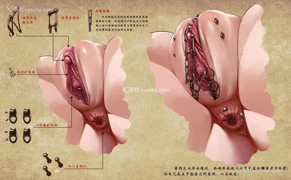 4P - [宇宙] D vs N 第二章 [中国语]