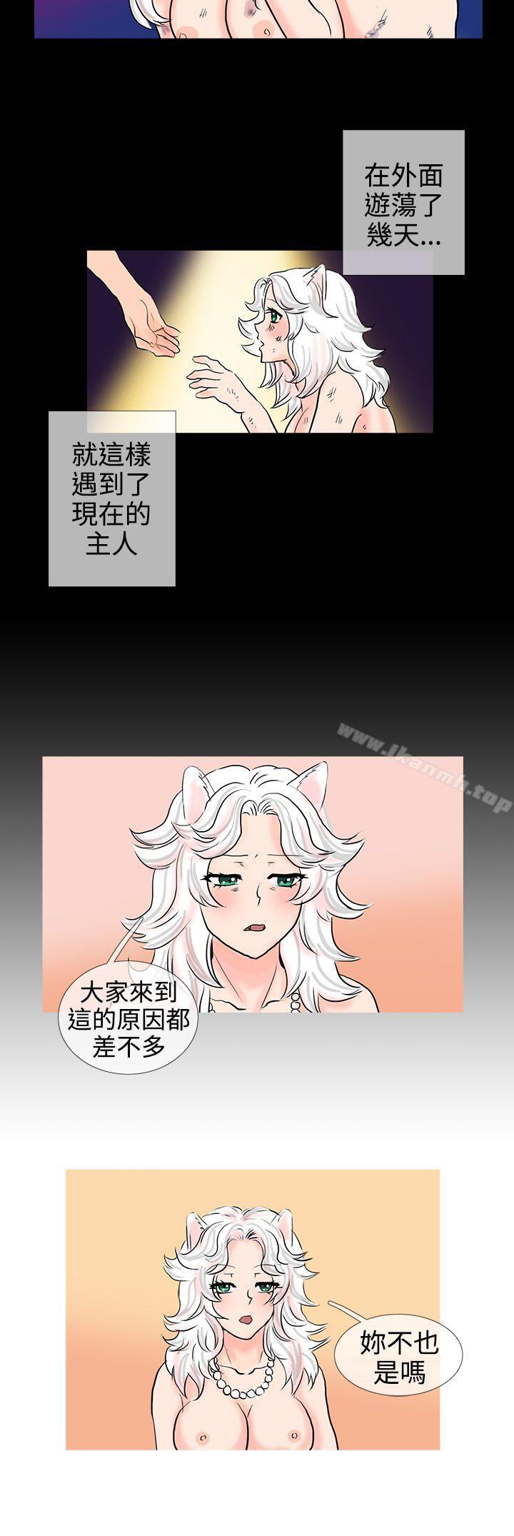 9P - 小野猫驯服手册