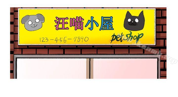 5P - 小野猫驯服手册