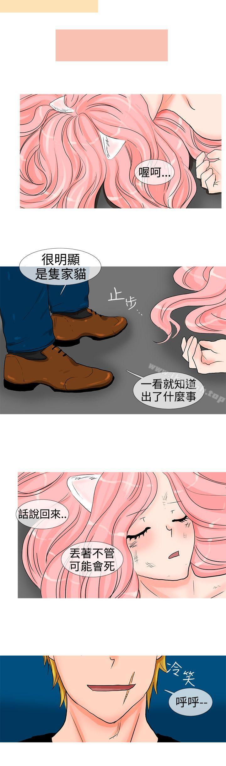 6P - 小野猫驯服手册