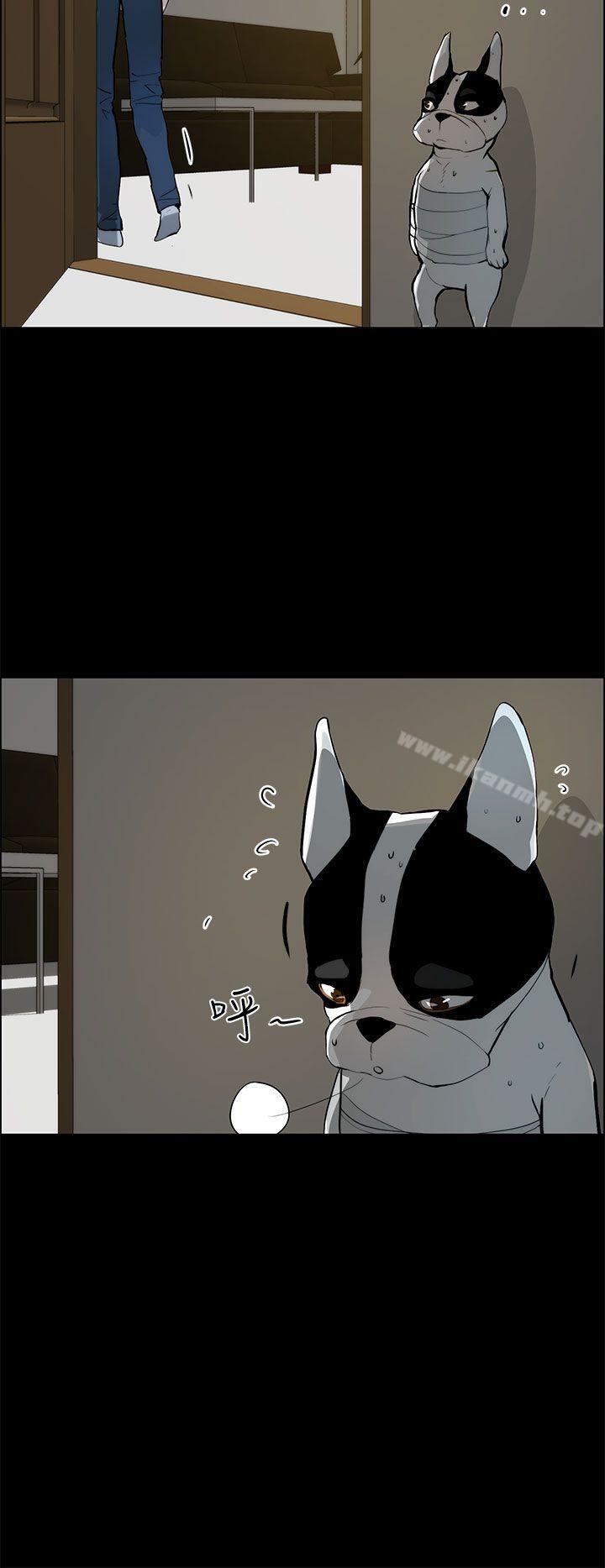 14P - 变成狗的男人
