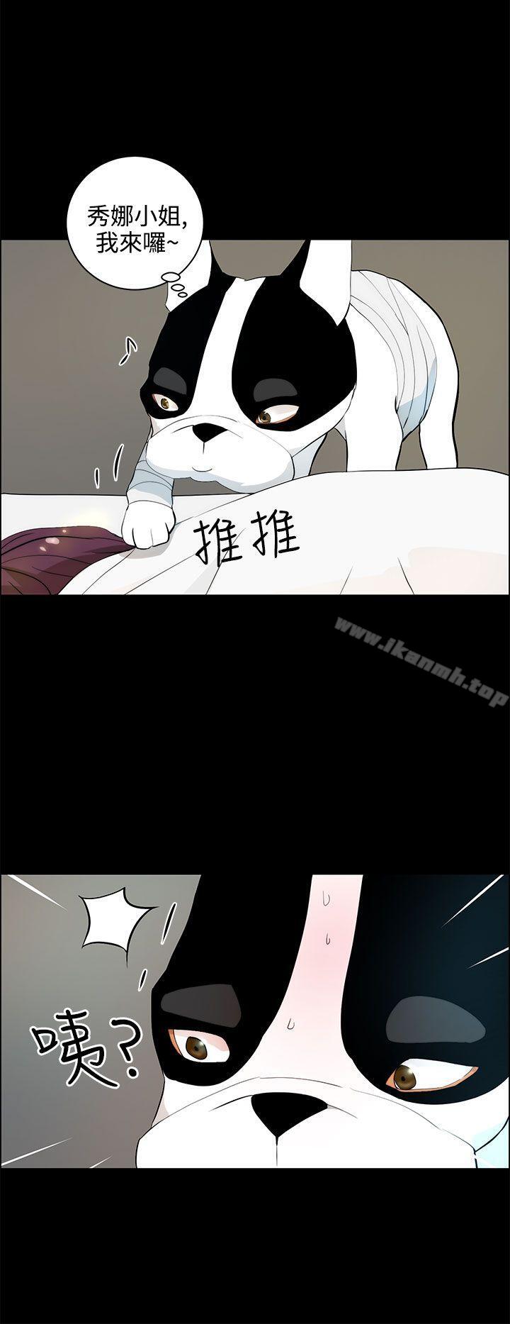 4P - 变成狗的男人