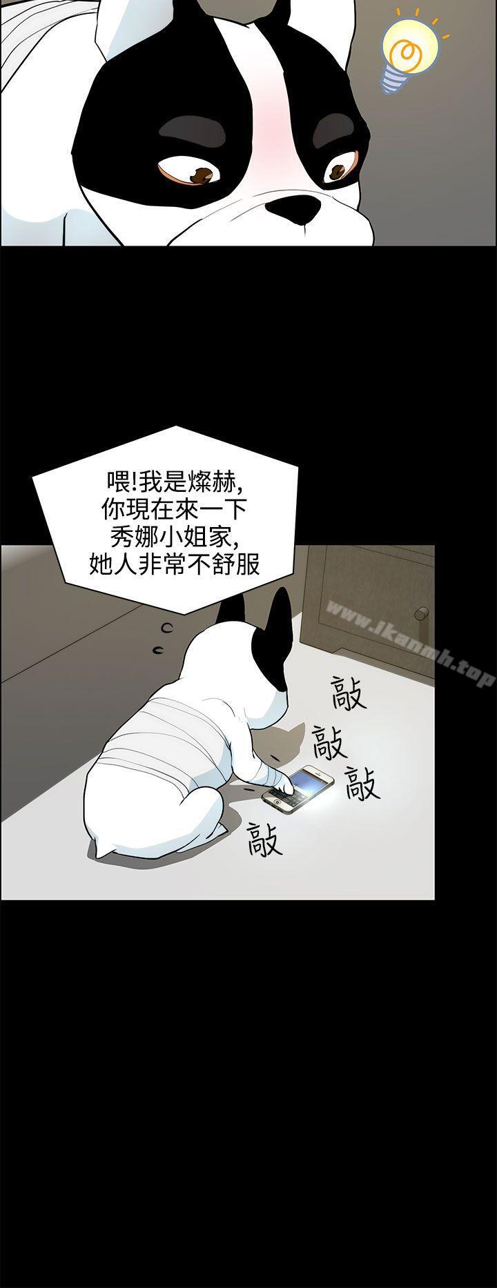 8P - 变成狗的男人