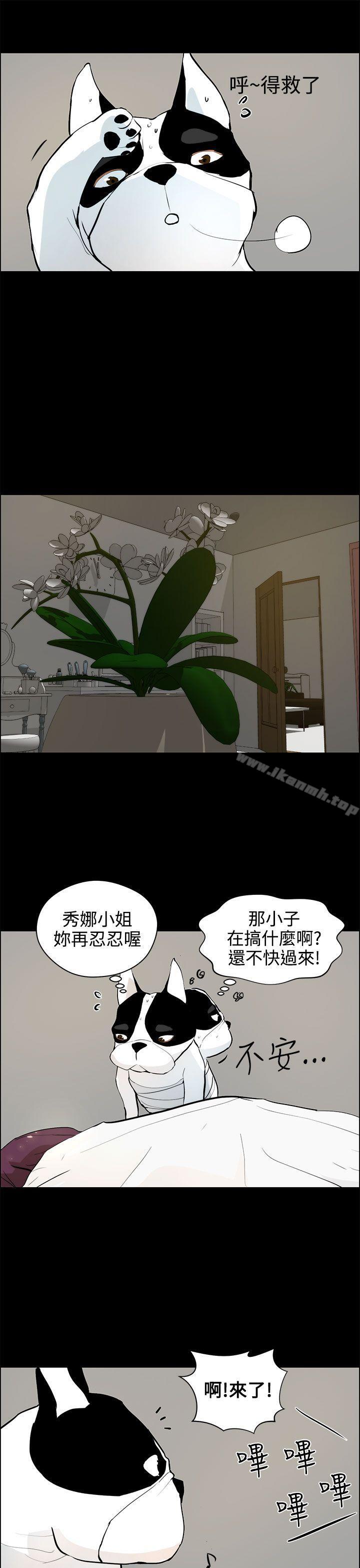 9P - 变成狗的男人