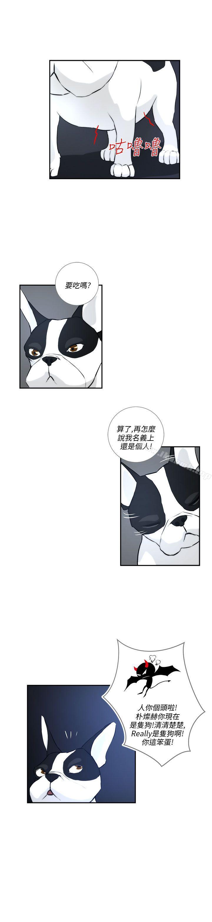 11P - 变成狗的男人