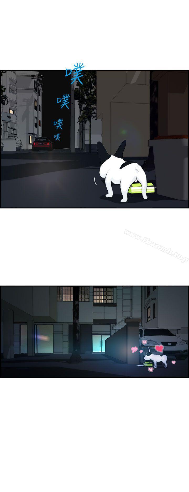 16P - 变成狗的男人