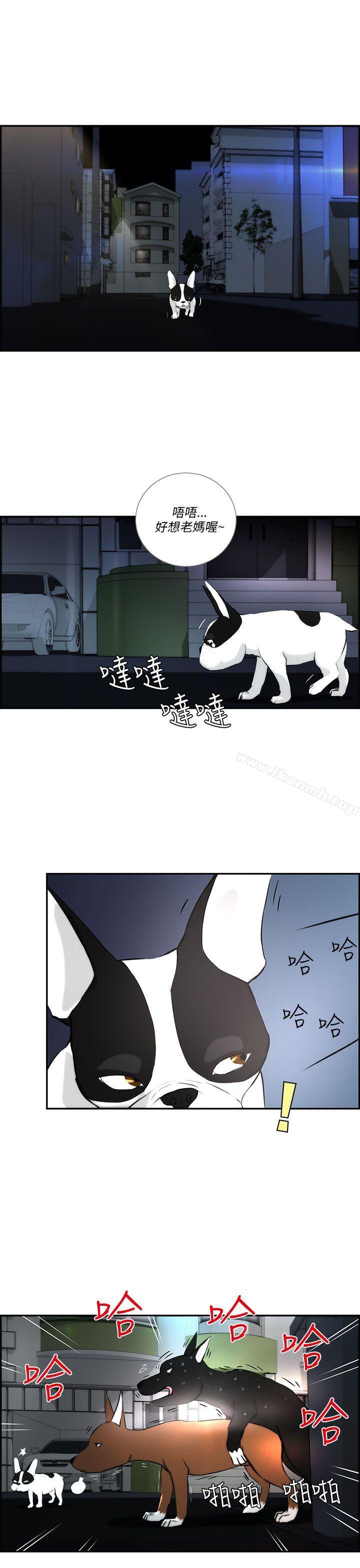 7P - 变成狗的男人